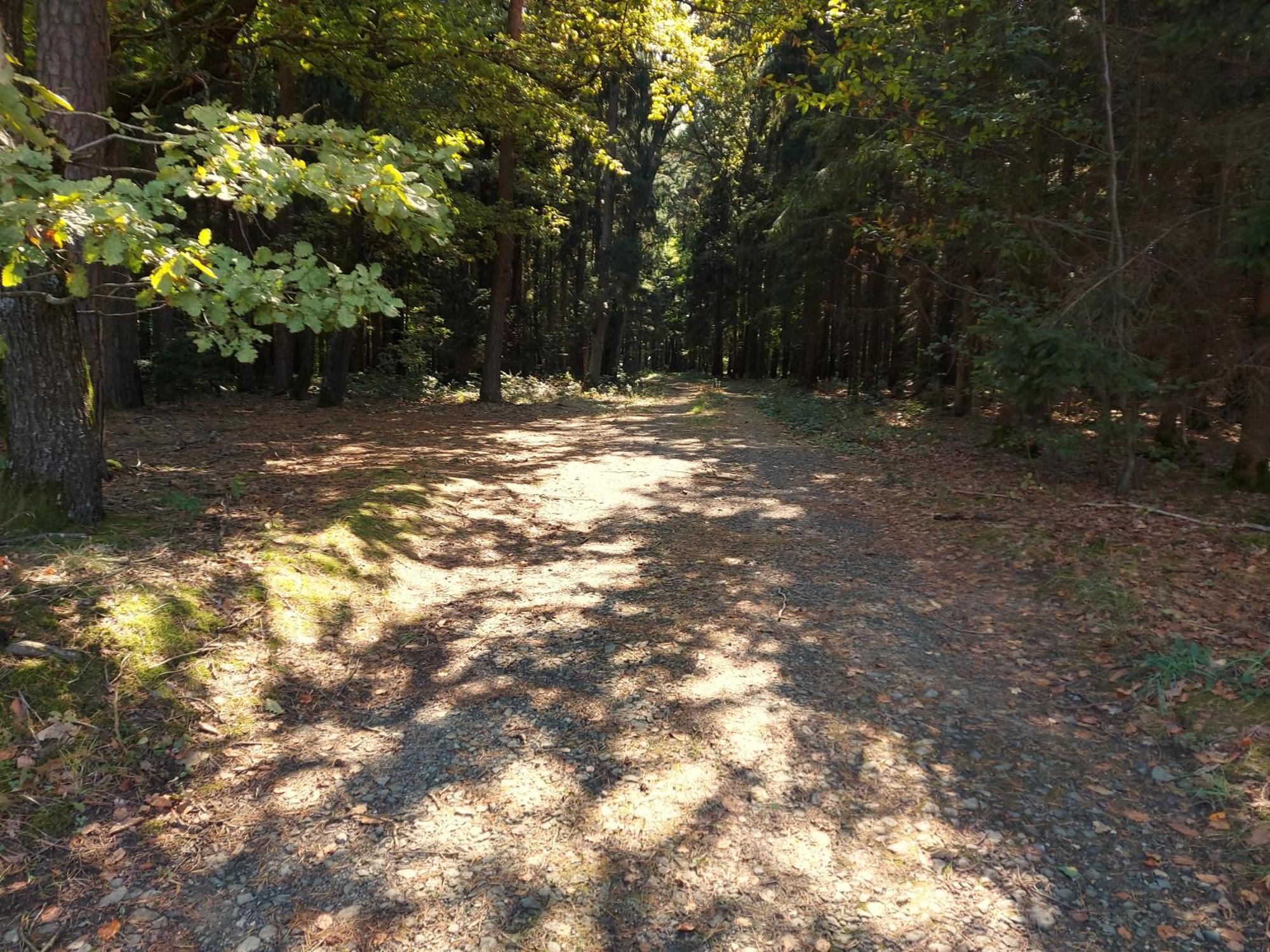 Limbach im Burgenland Landhaus Annmarie מראה חיצוני תמונה